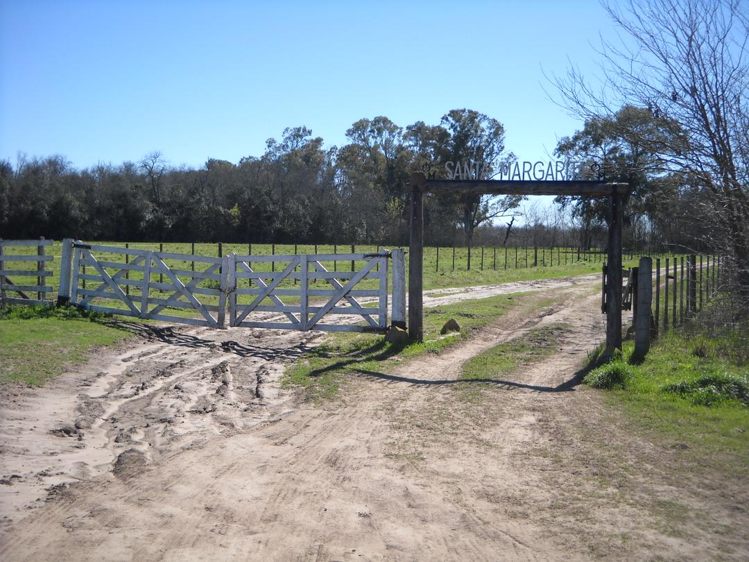 Santa Margarita