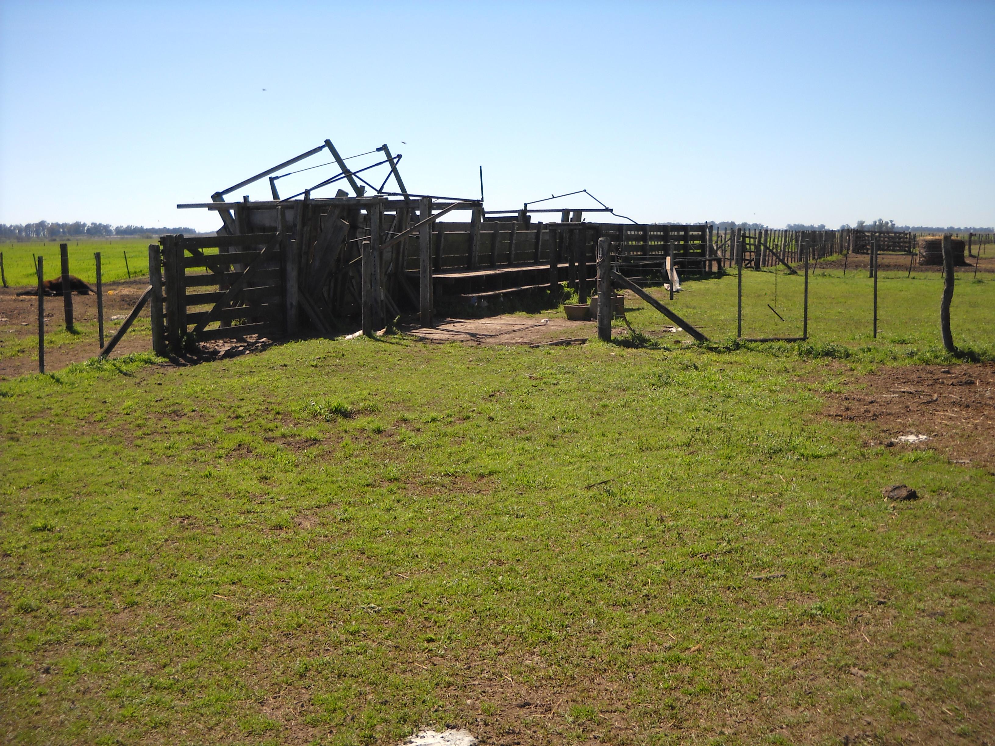 Santa Margarita