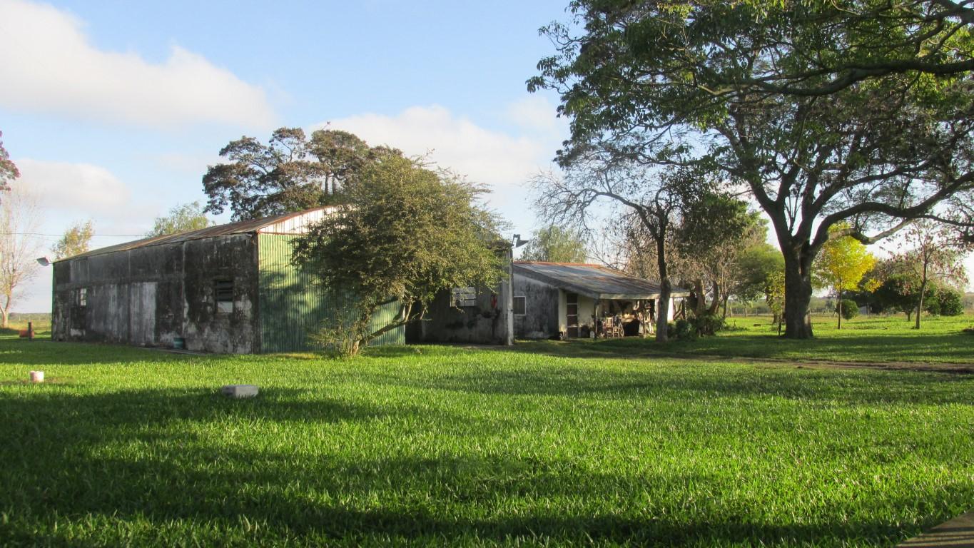 La Concepción